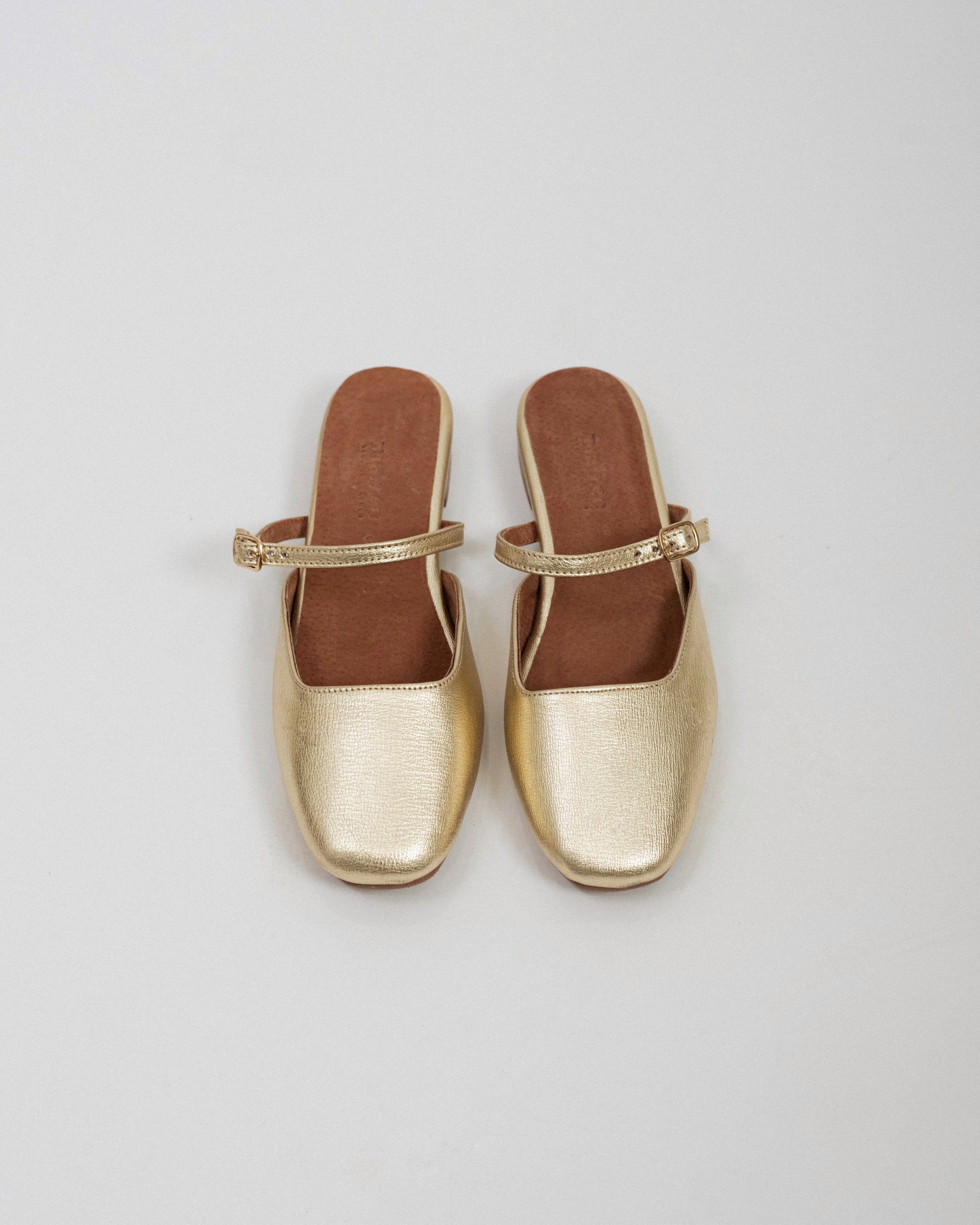 Avi, Gold - MALZEC
